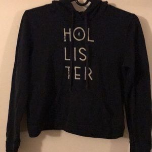 Hollister sweatshirt